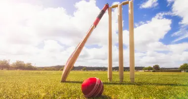 Understanding Cricket Insurance Claims