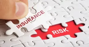 Shattuck & Grummett Insurance: Your Trusted Shield